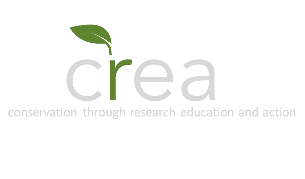 We Are crea