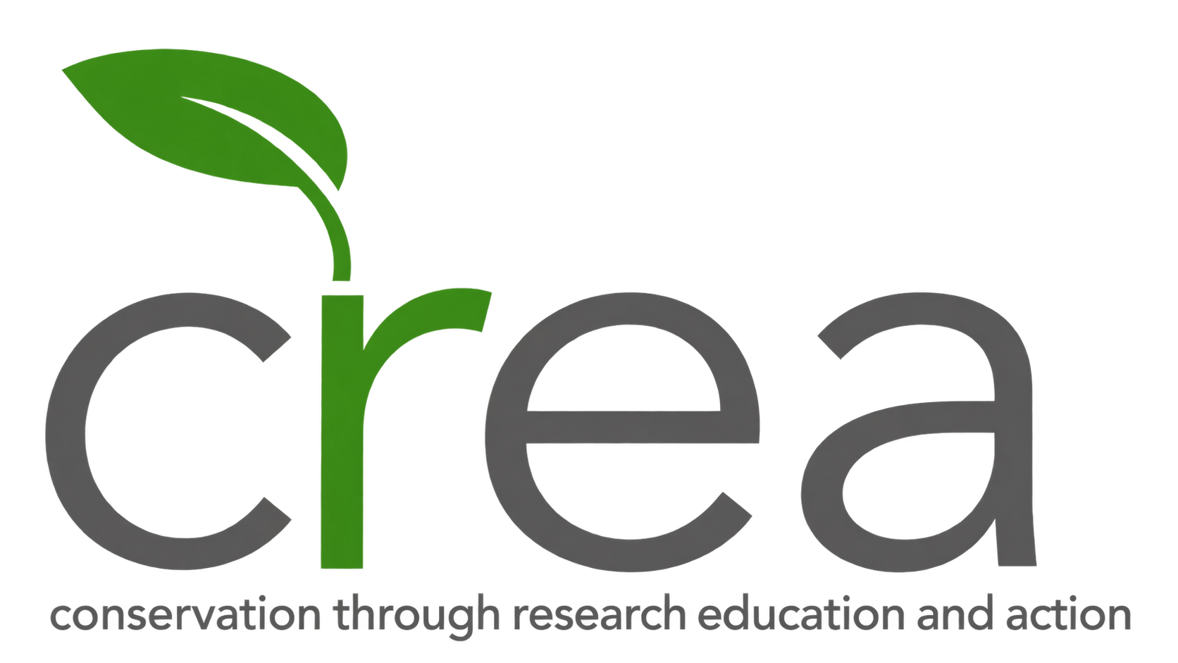 We Are crea